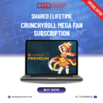 Crunchyroll Mega Fan Subscription showcasing ad-free HD anime access